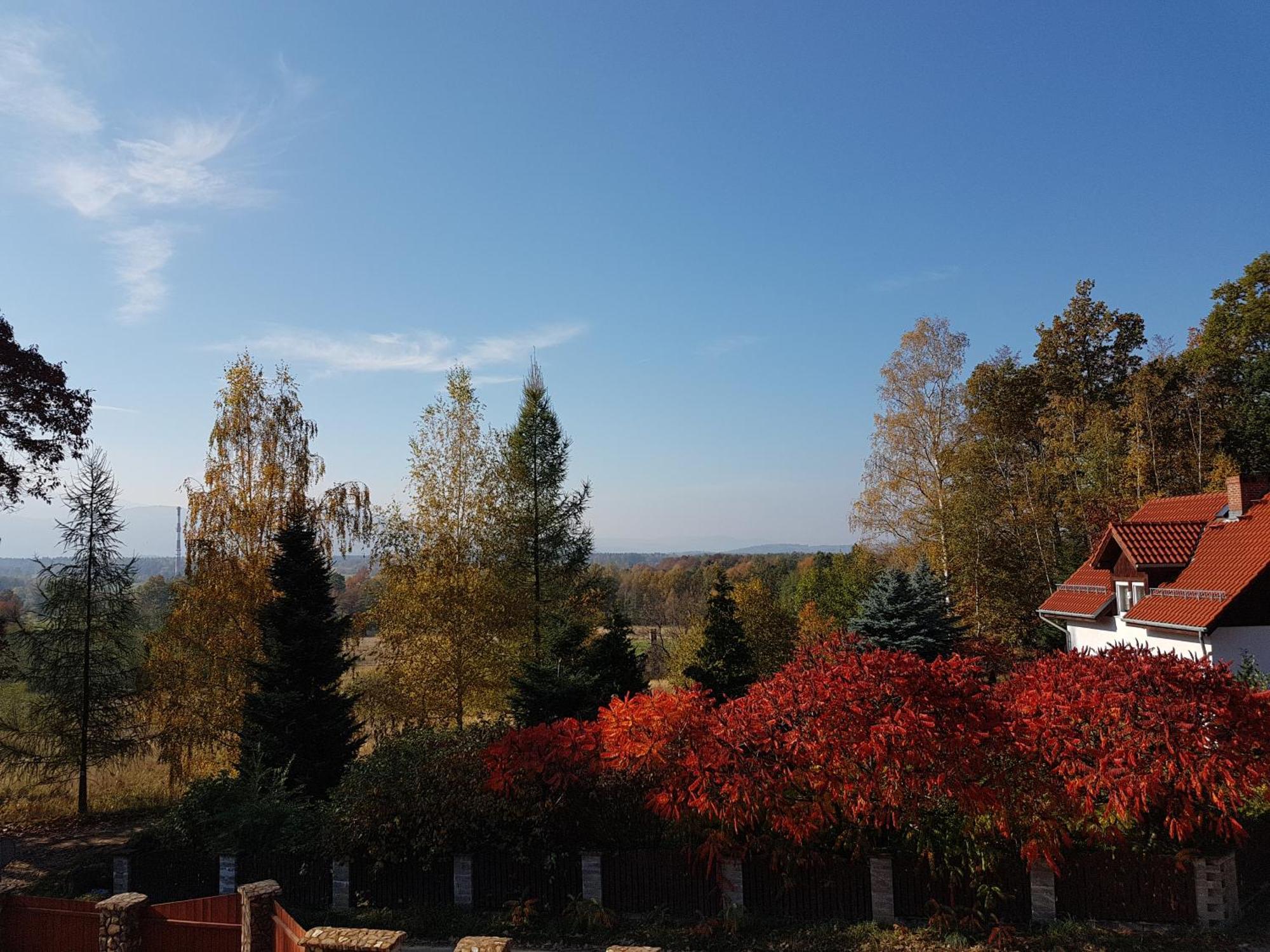 Ferienwohnung Sarna Karkonosze Bukowiec  Exterior foto
