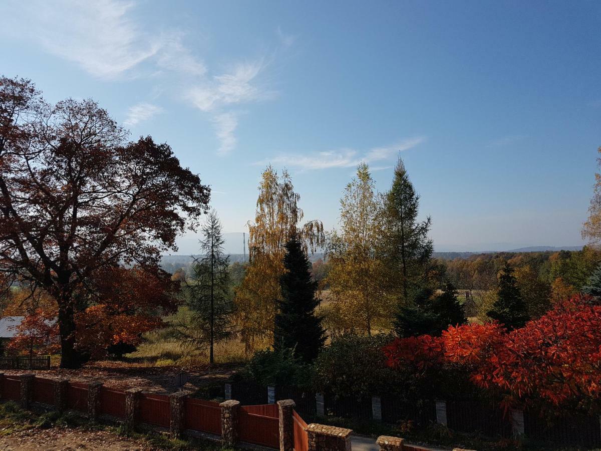 Ferienwohnung Sarna Karkonosze Bukowiec  Exterior foto