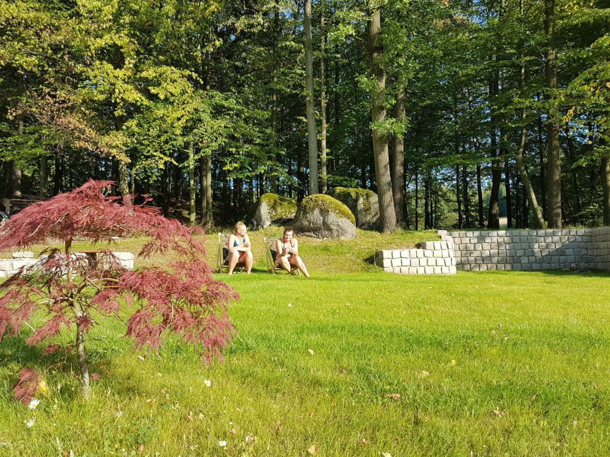 Ferienwohnung Sarna Karkonosze Bukowiec  Exterior foto